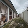 5 Self-Contain, ₦5M Annual Yield in Gated Estate