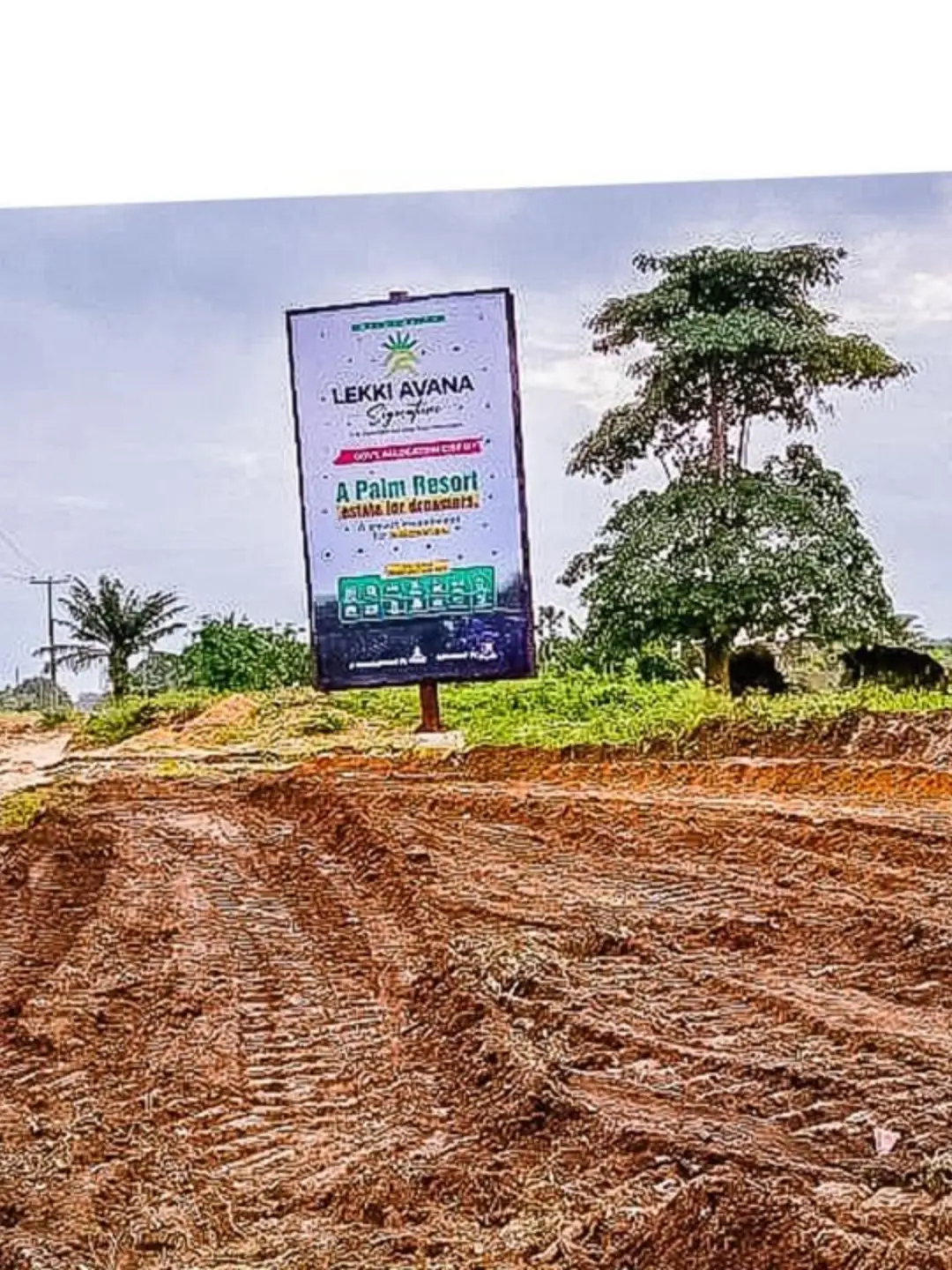 Wake Up to Palm Resort Living in Lekki’s Hottest Corridor  ✨