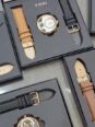 TIMELESS TOMI: 2 Straps, 1 Watch – Instant Style Upgrade
