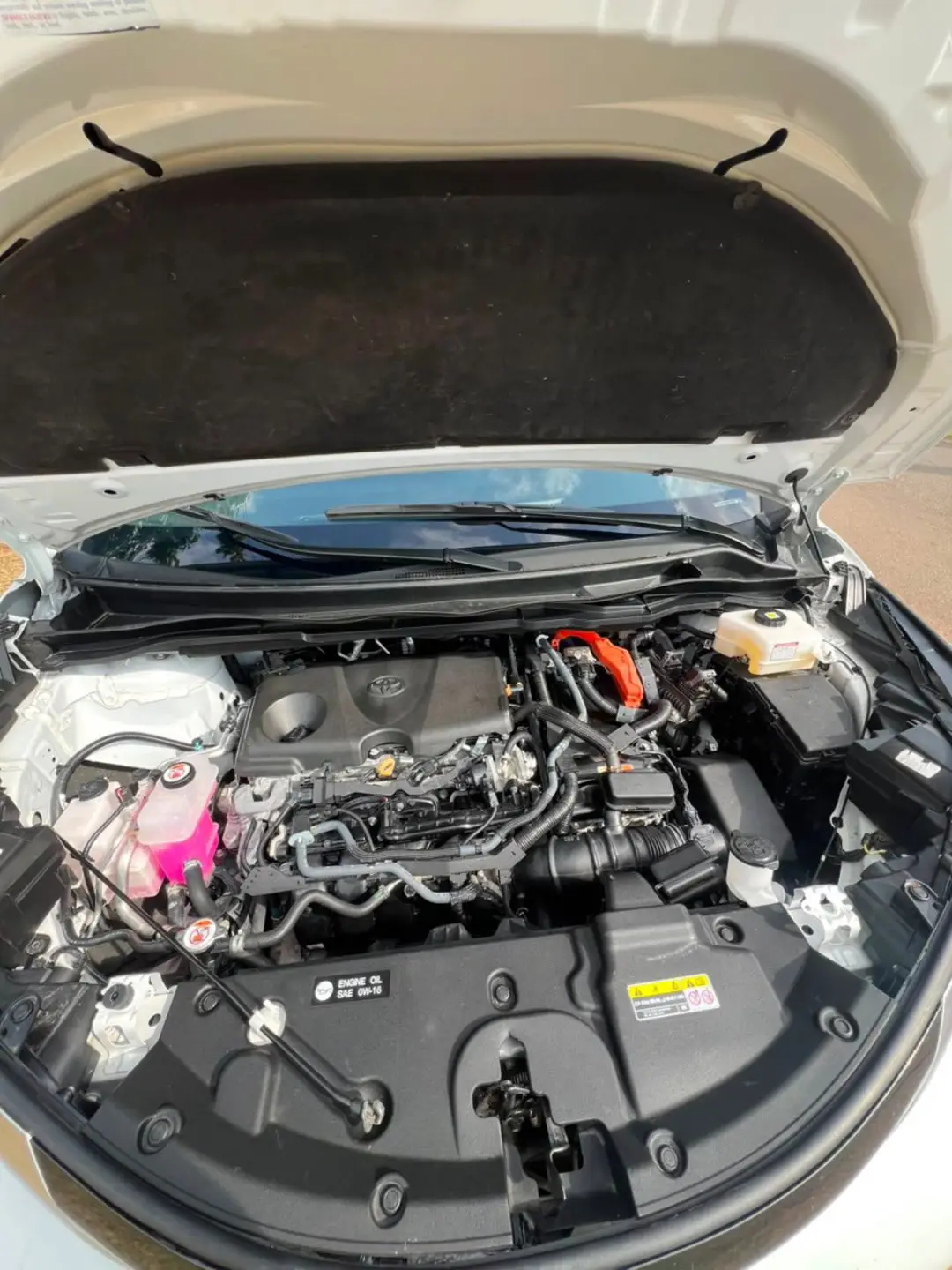 Your Premium Family Powerhouse is Here—Drive the 2024 Toyota Sienna Fully Loaded!