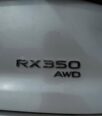 2026 Lexus RX350 AWD – Panoramic Luxury