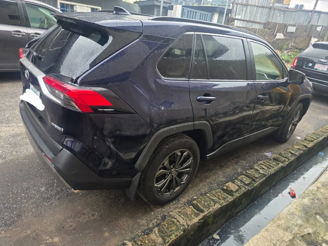 Just Buy & Zoom: 2024 Toyota RAV4 Hybrid