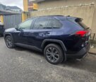 Just Buy & Zoom: 2024 Toyota RAV4 Hybrid