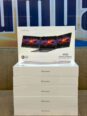 Unleash Triple-Screen Power, Zero Laptop Upgrade!