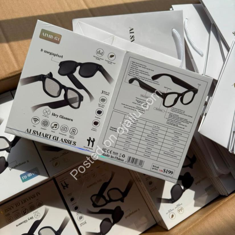 AI Glasses That See, Hear & Captivate You