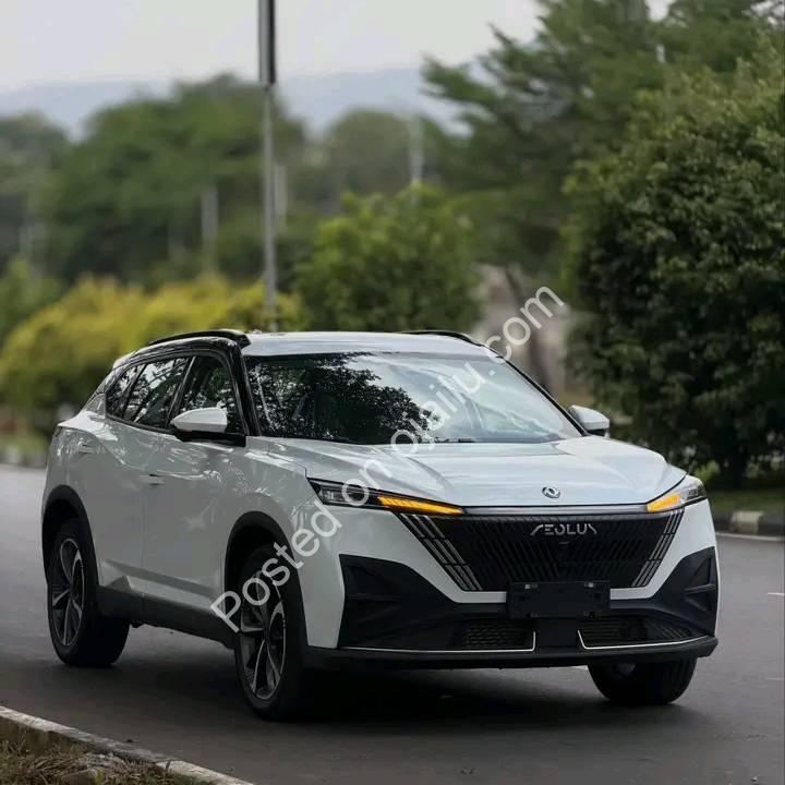 2025 Dongfeng Mage: Zero-KM Tech Beast