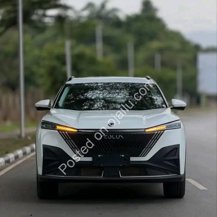 2025 Dongfeng Mage: Zero-KM Tech Beast