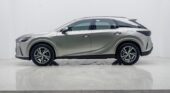 Luxury Hybrid RX350h – Delivered to Your Door