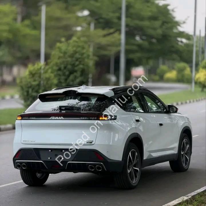 2025 Dongfeng Mage: Zero-KM Tech Beast