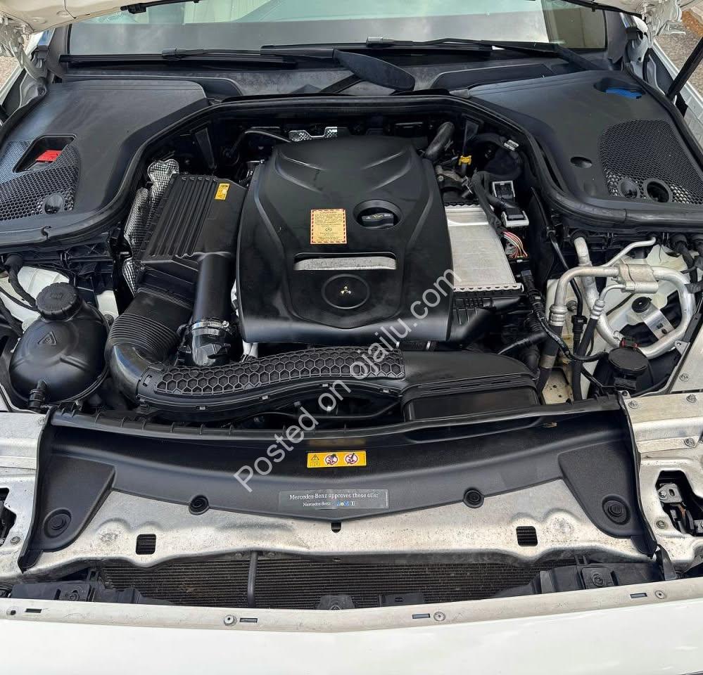 Mercedes Luxury, Zero Stress: Import & Drive