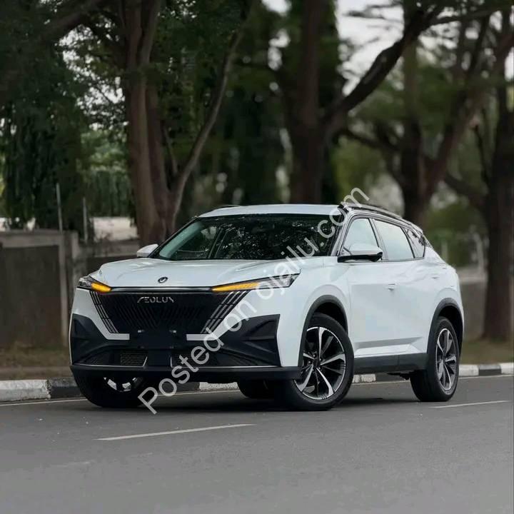 2025 Dongfeng Mage: Zero-KM Tech Beast
