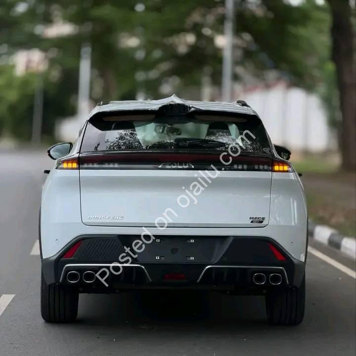 2025 Dongfeng Mage: Zero-KM Tech Beast