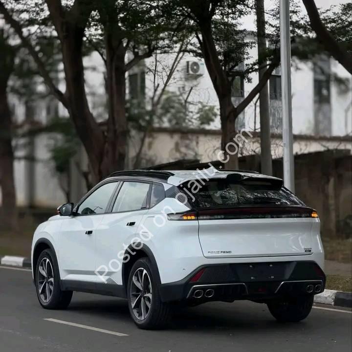 2025 Dongfeng Mage: Zero-KM Tech Beast