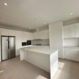 Own a Masterpiece on Banana Island