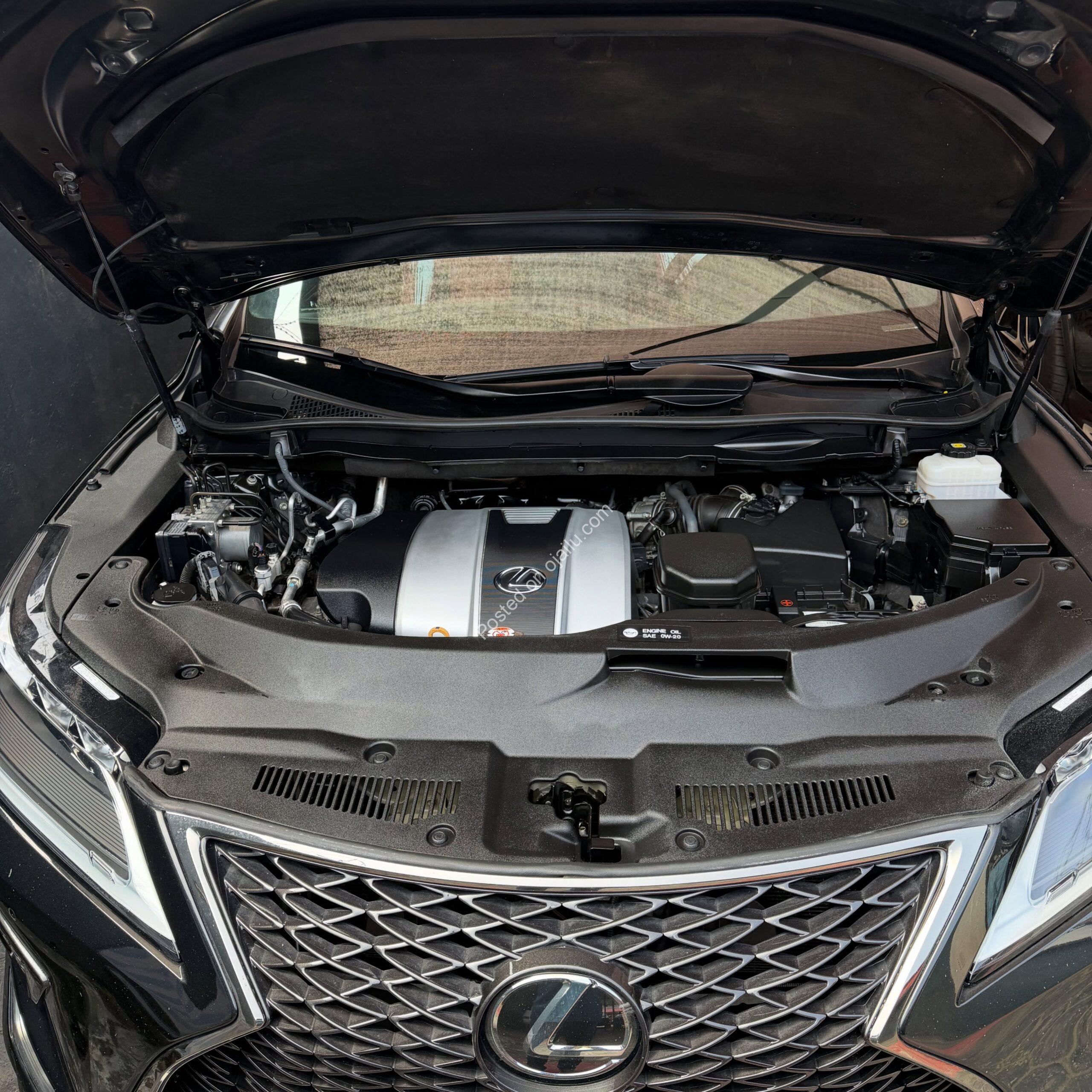 2022 Lexus RX350 F-Sport: Panoramic Luxury, Accident-Free