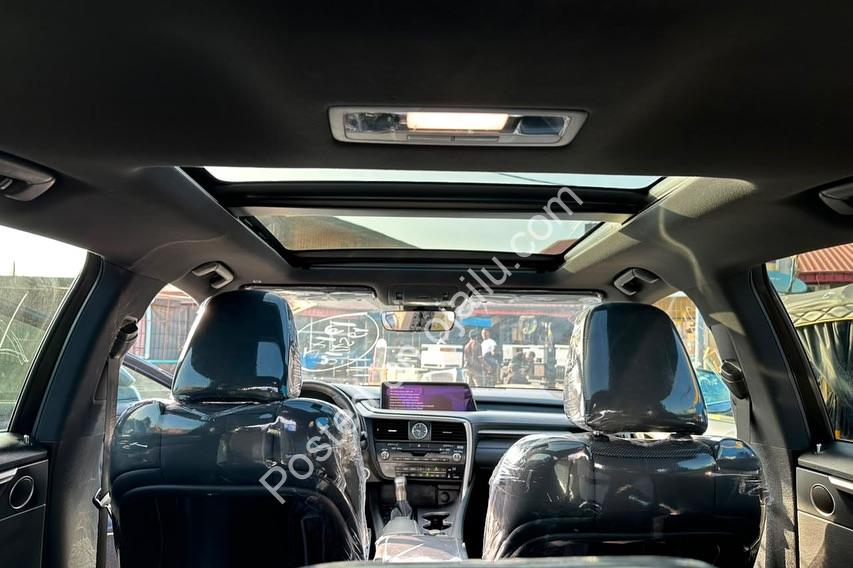Accident-Free 2019 Lexus RX350 F Sport: Panoramic Luxury Awaits