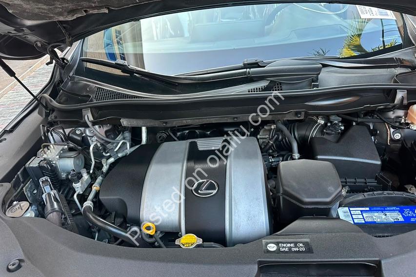 Accident-Free 2019 Lexus RX350 F Sport: Panoramic Luxury Awaits