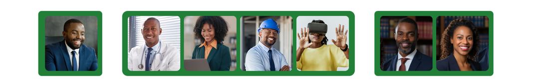 Business Development Executive